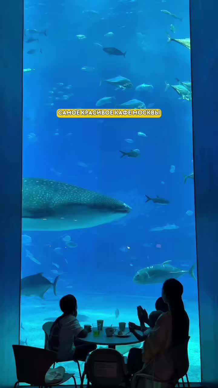 @Неизвестная Москва