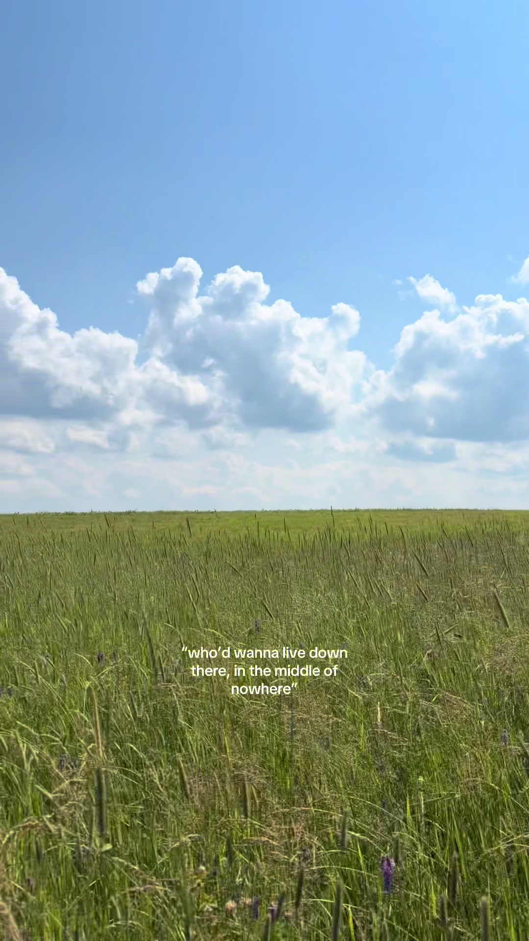 @mik