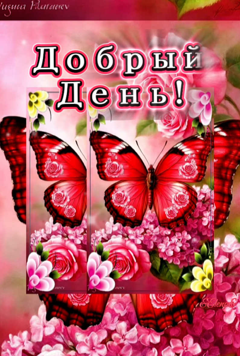 @Elena Skvortsova
