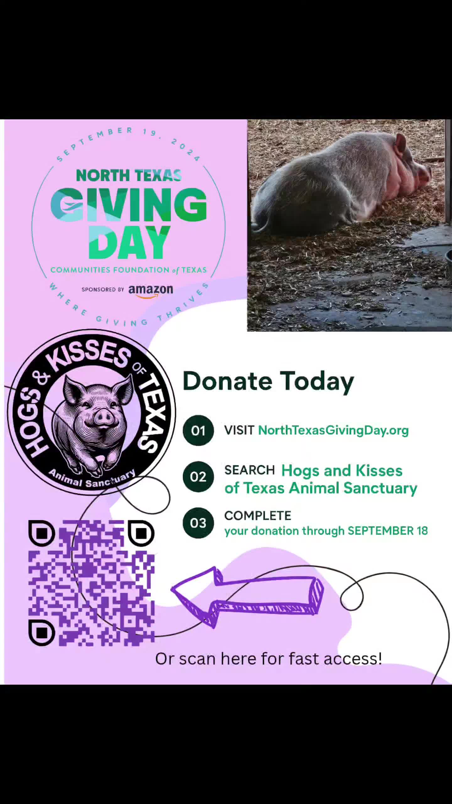 @hogs&kissestx