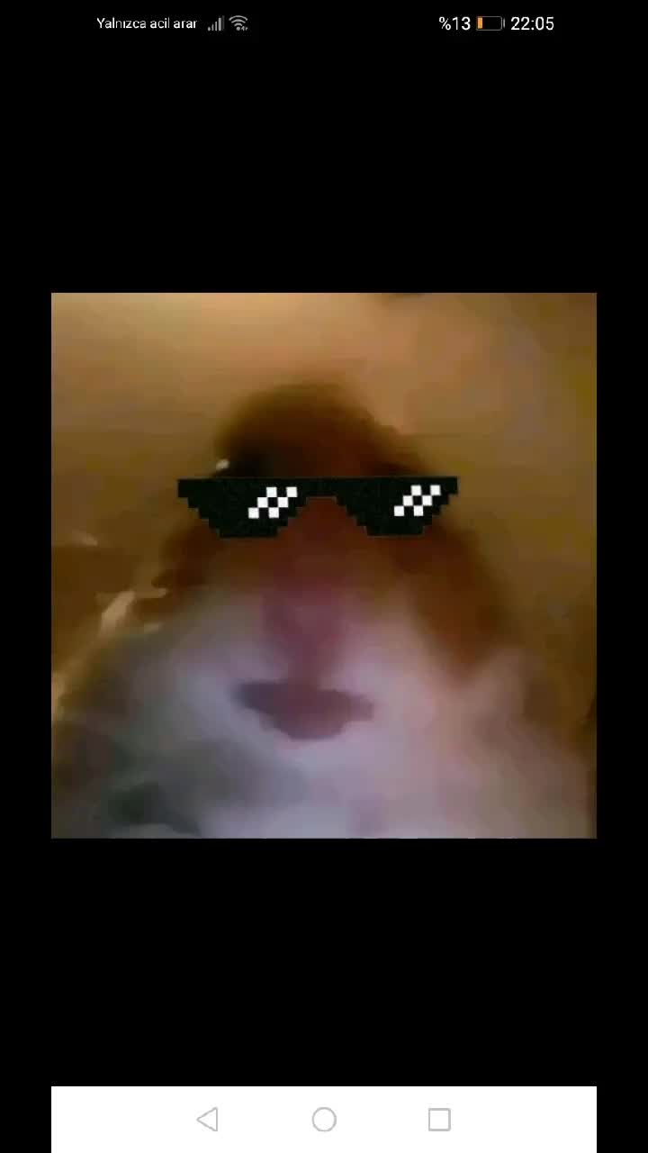 @Mustihaft_2002_