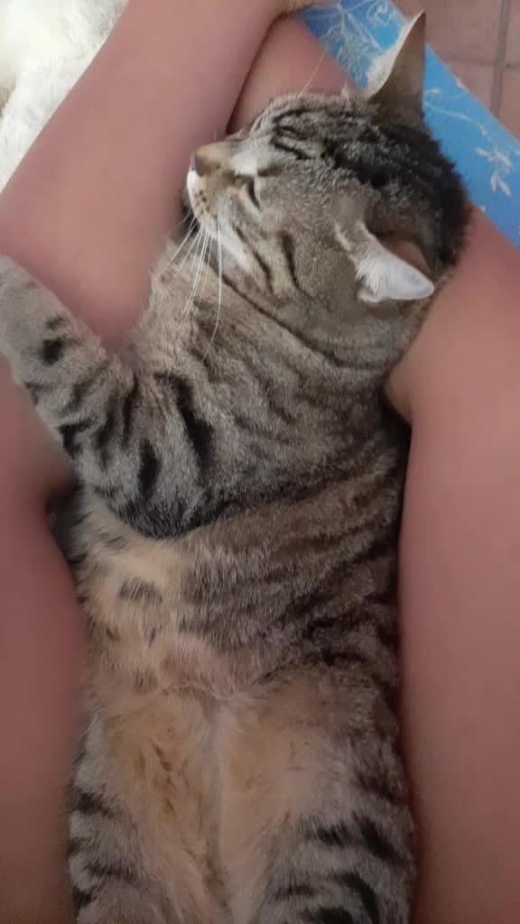 @_Giuly_❤