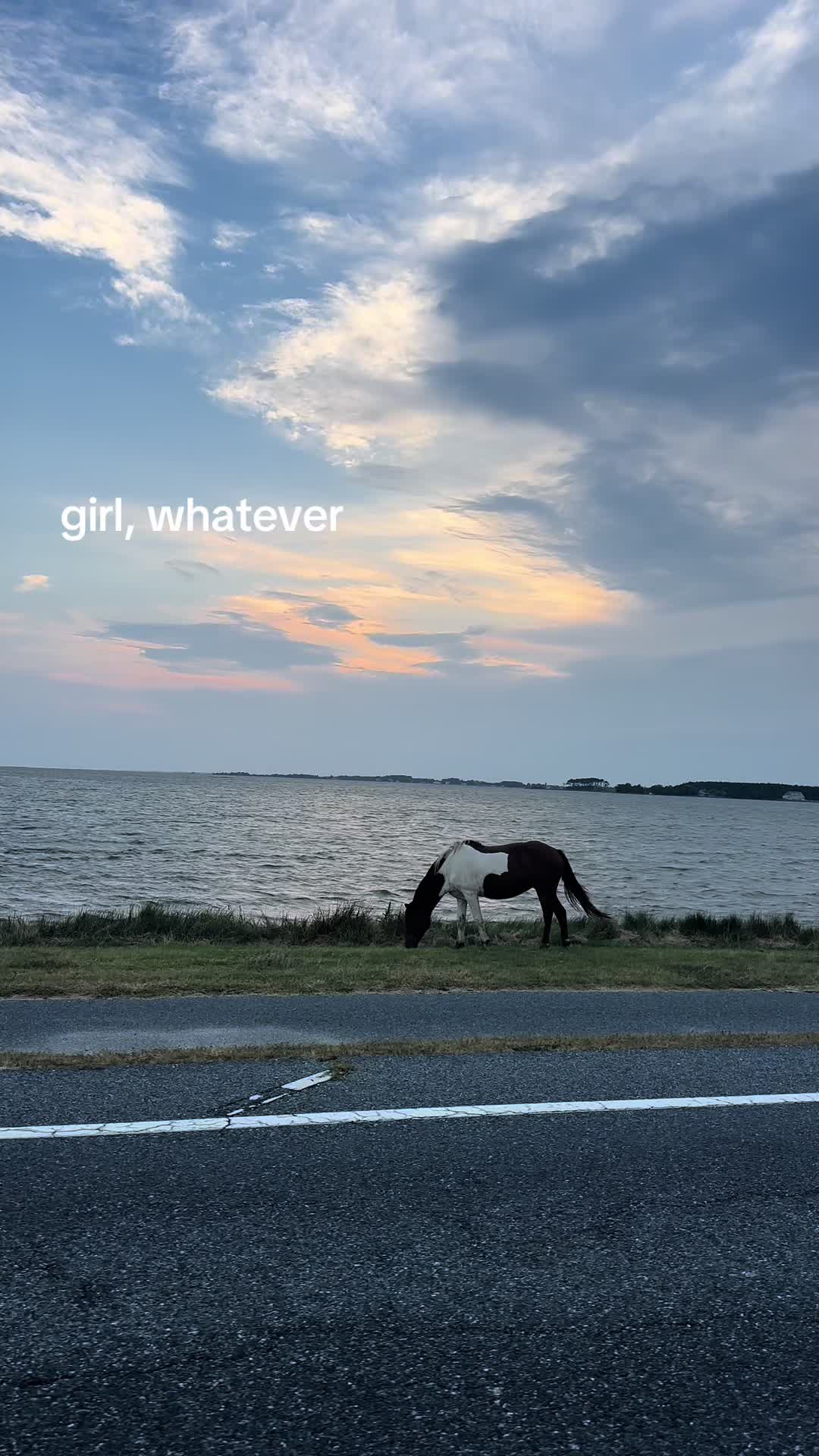@kelly 💖💭🦀