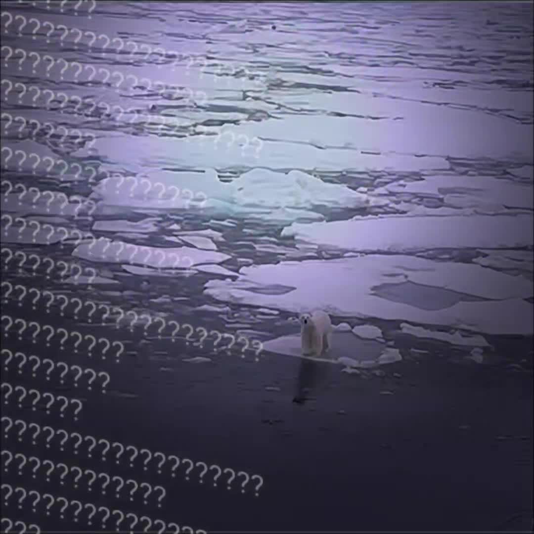 @😇🐬🐬ethan🐬🐬😇