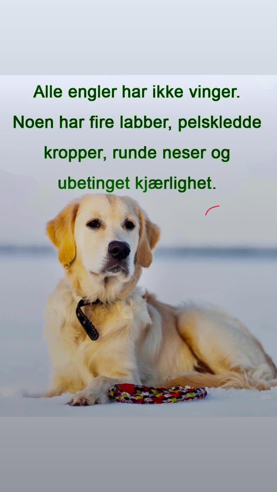 @mettemyhrebakken