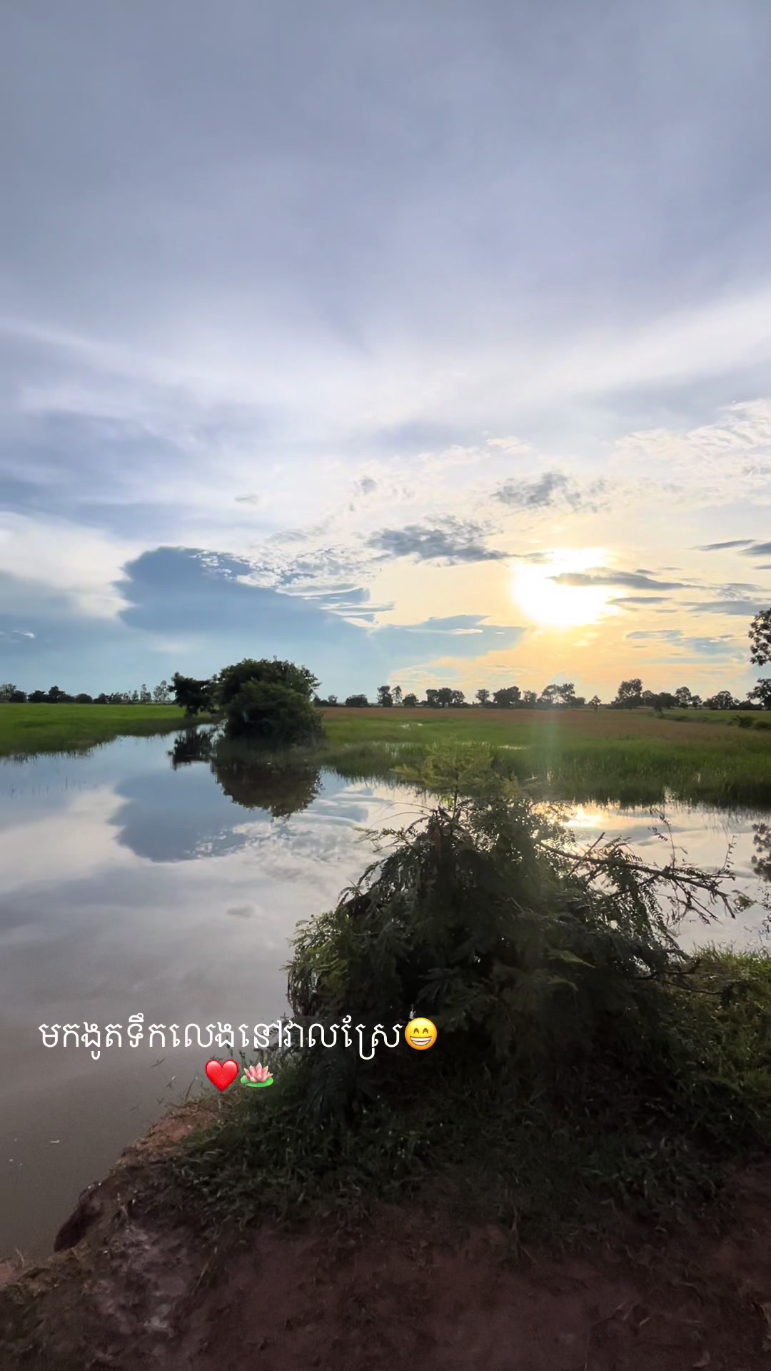 @แแผ แแธ ๐ซ