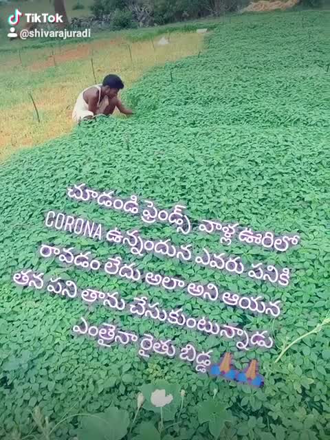 @Shivaraj Uradi