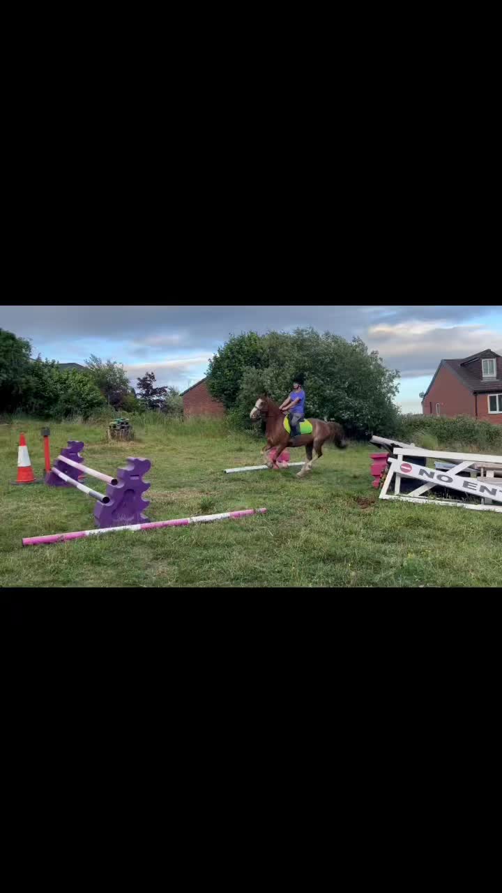 @Horses <3