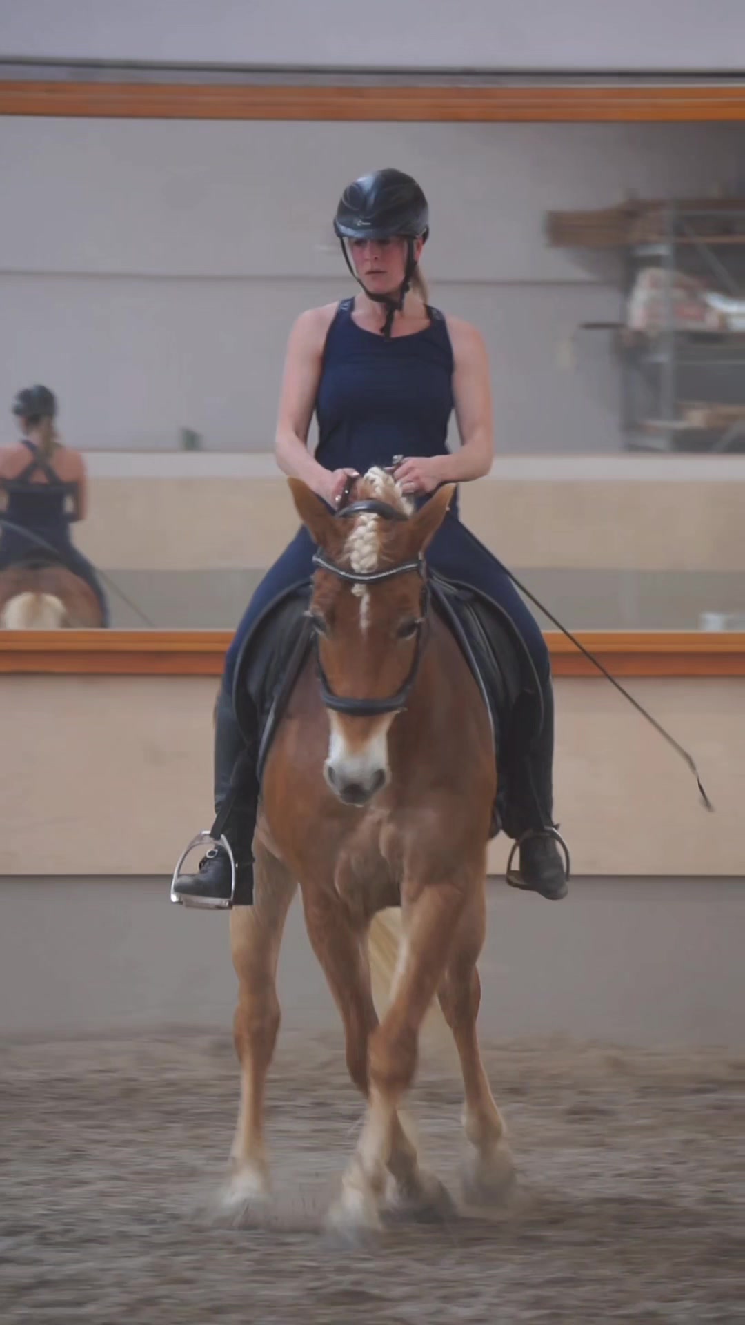 @Dreamhorse_Edelbluthaflinger