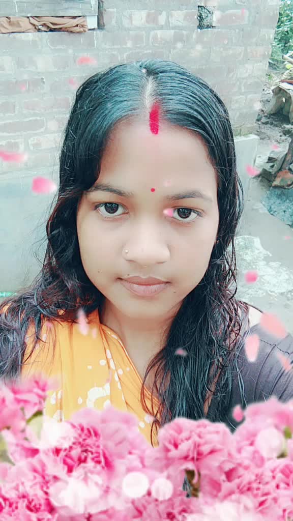 @jio Piyali bar
