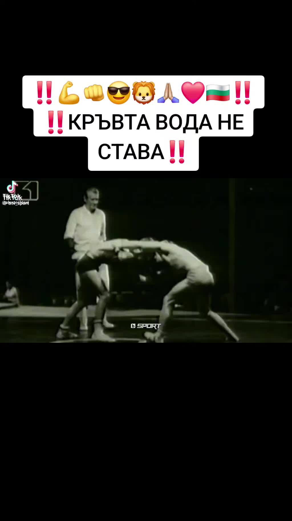 @Steikatas1