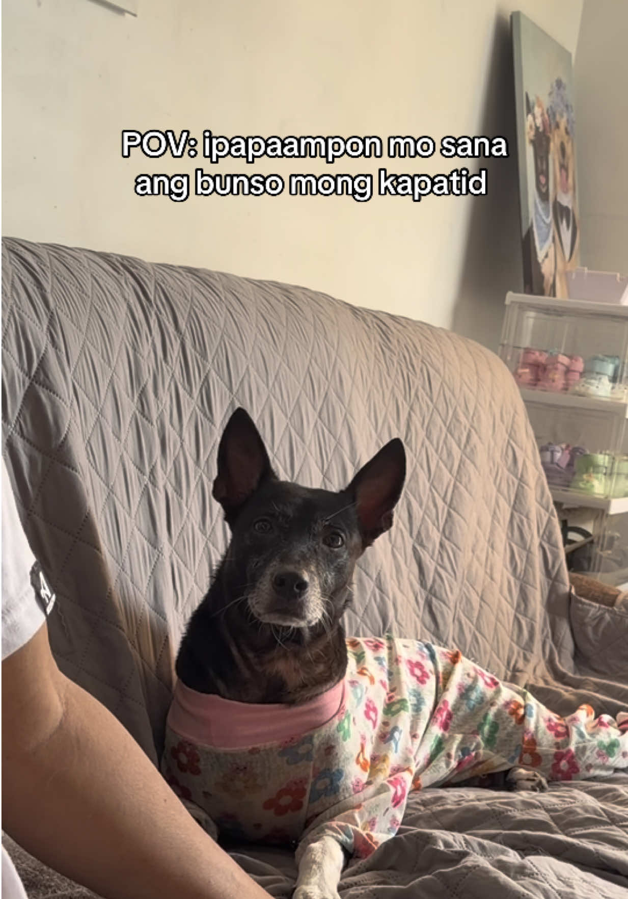 @cammydudels