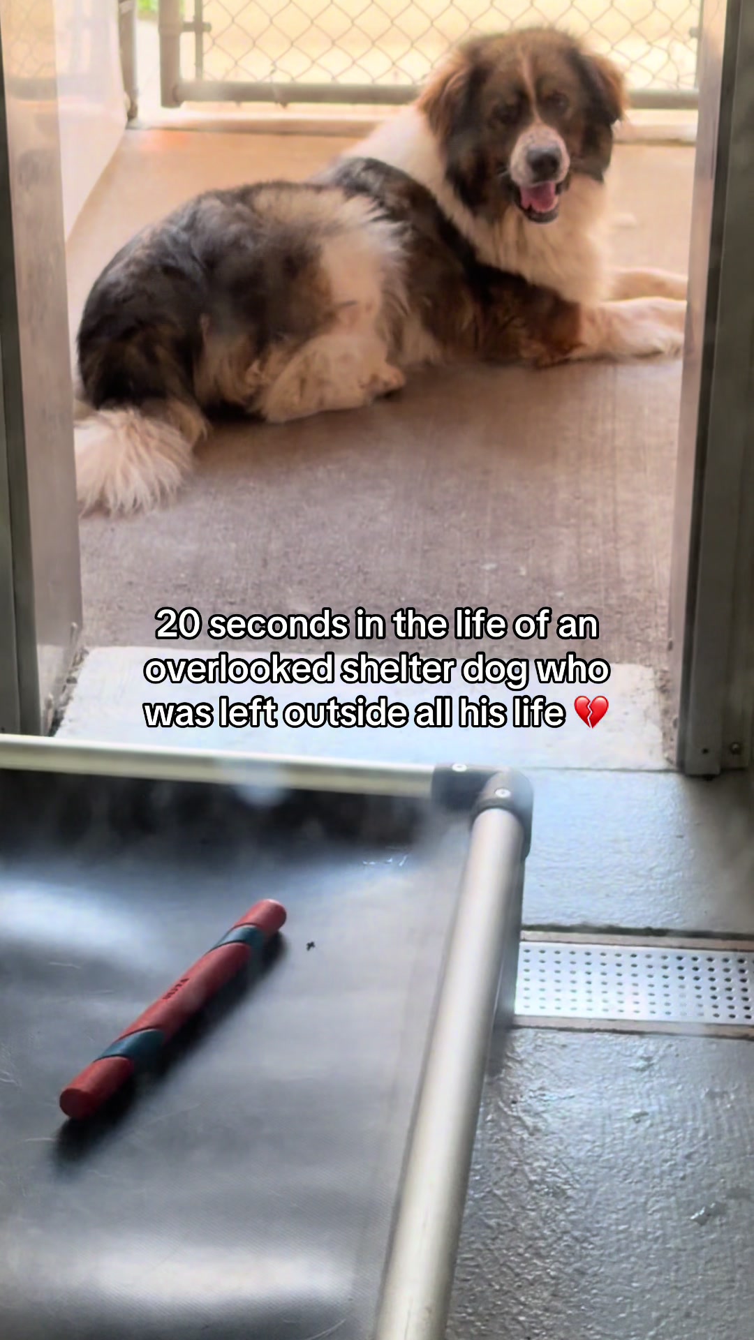@myTinypurpose