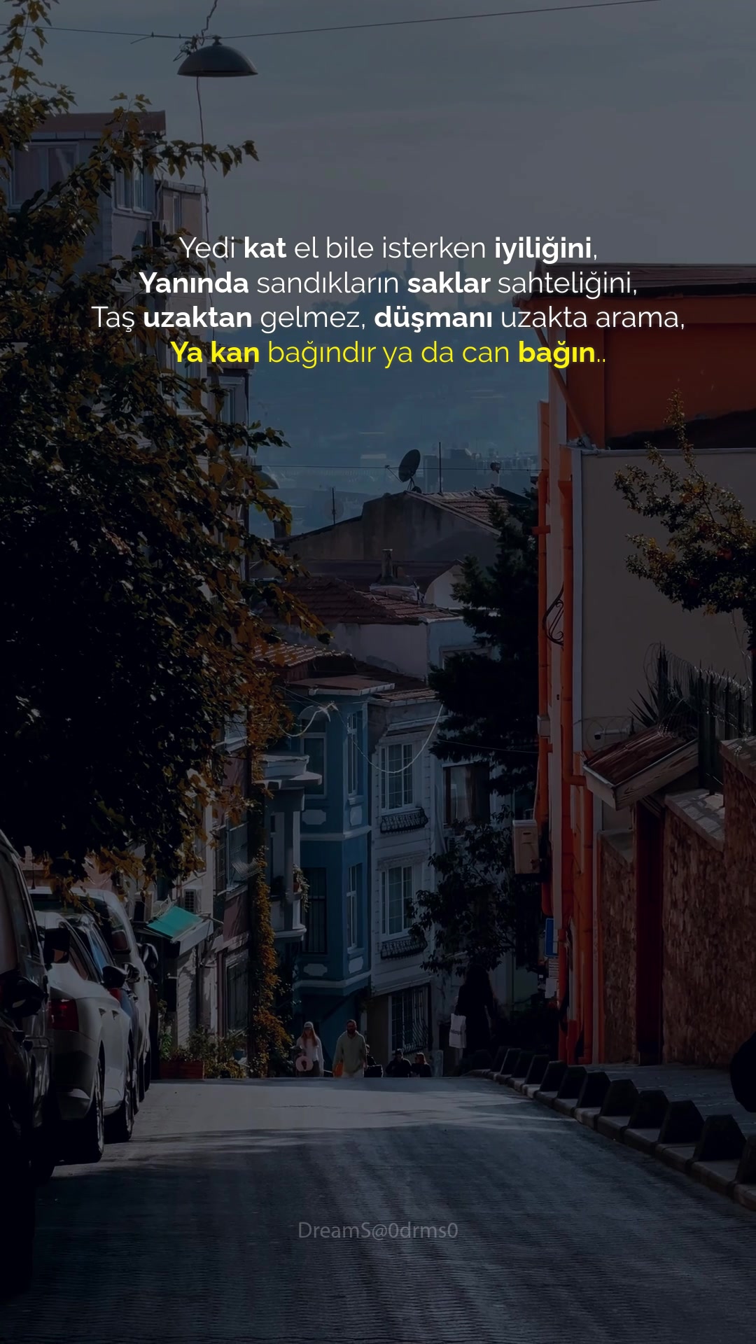 @DreamS