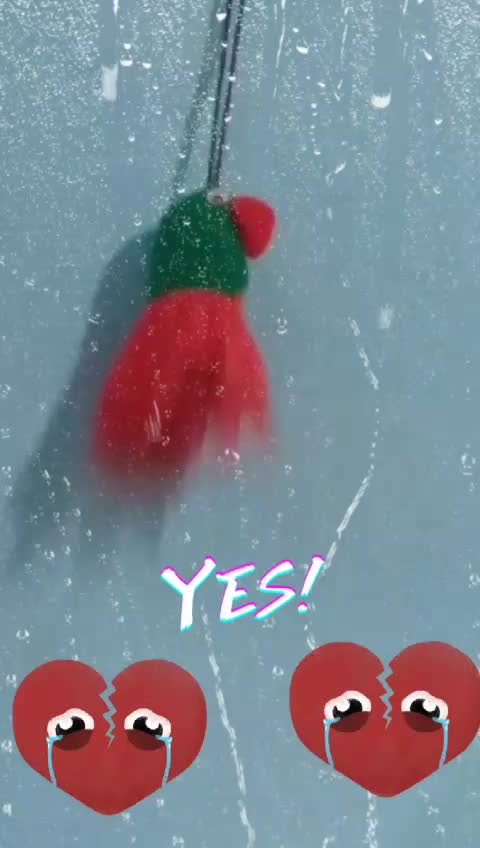 @ManjulaPoorv