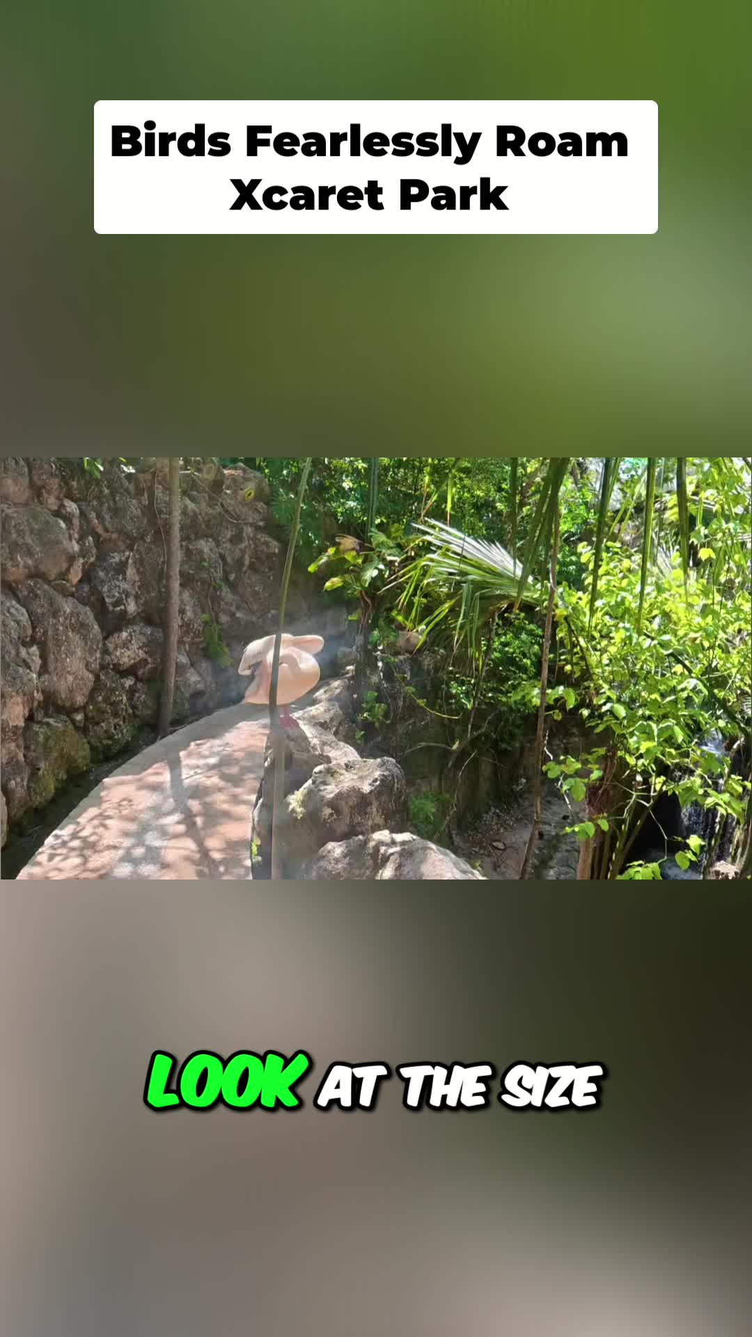@UrGamingTechie