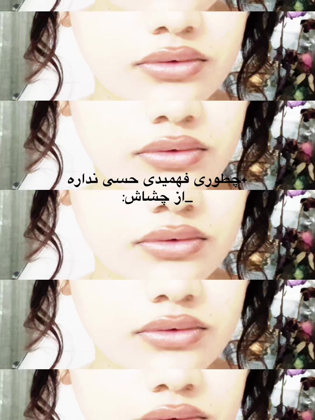 @dorsa