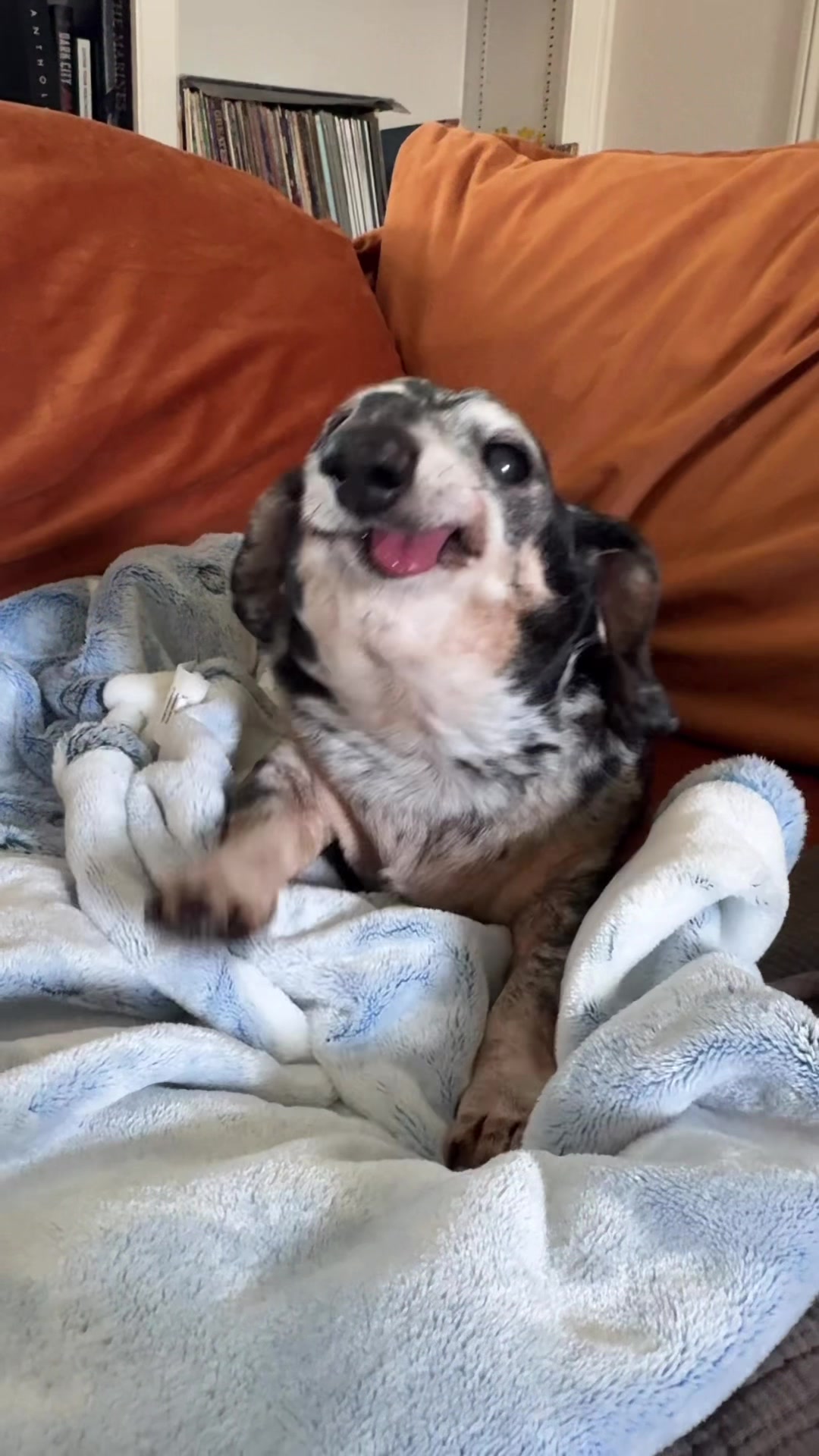 @agedsausages