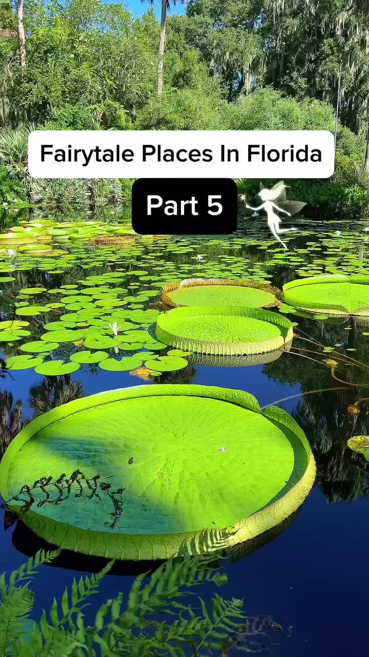 @thefloridaqueenie