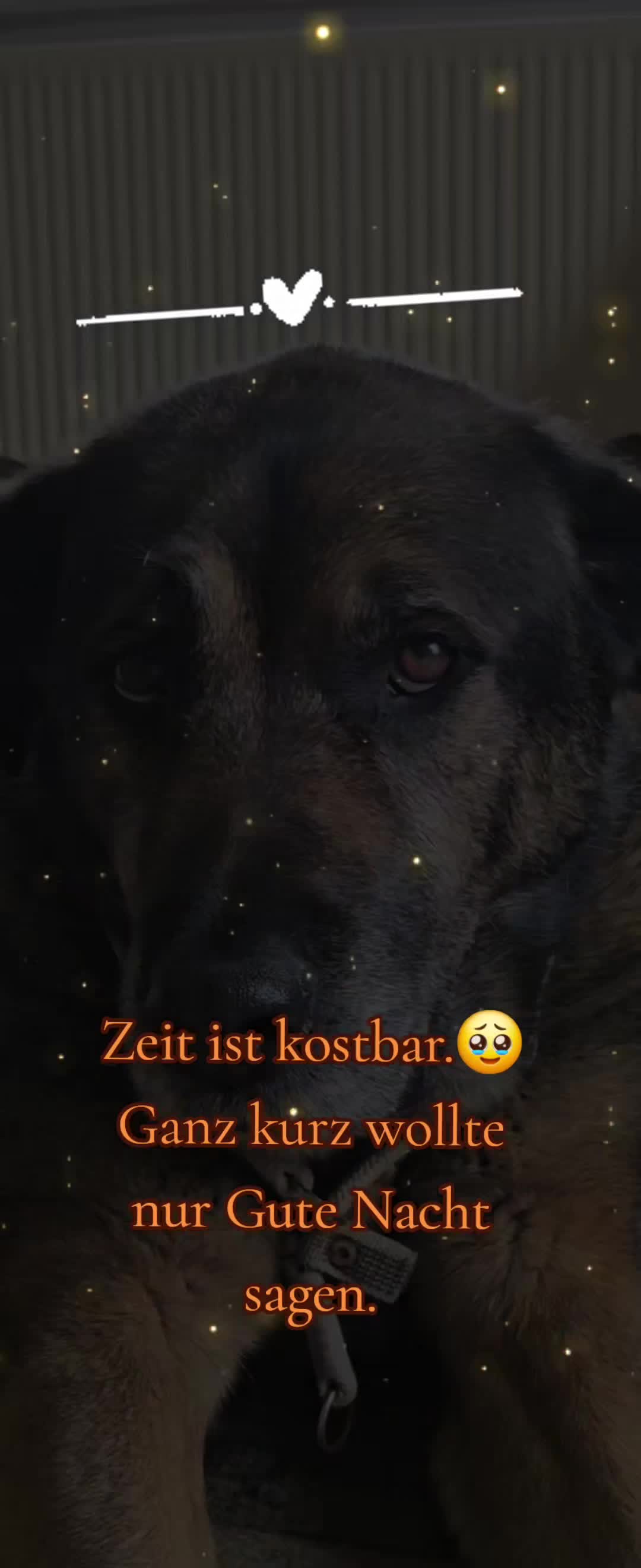 @💝Olle💜Emma🤎Fritz💟Mutti💌