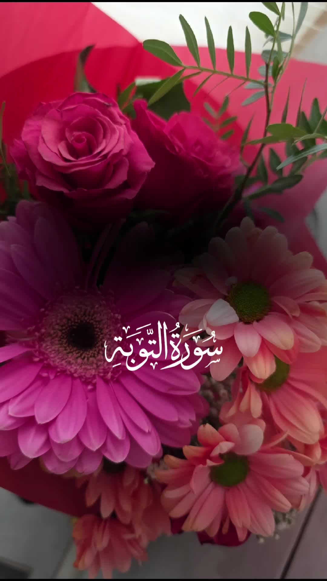 @🌸وصية الرسول🌸