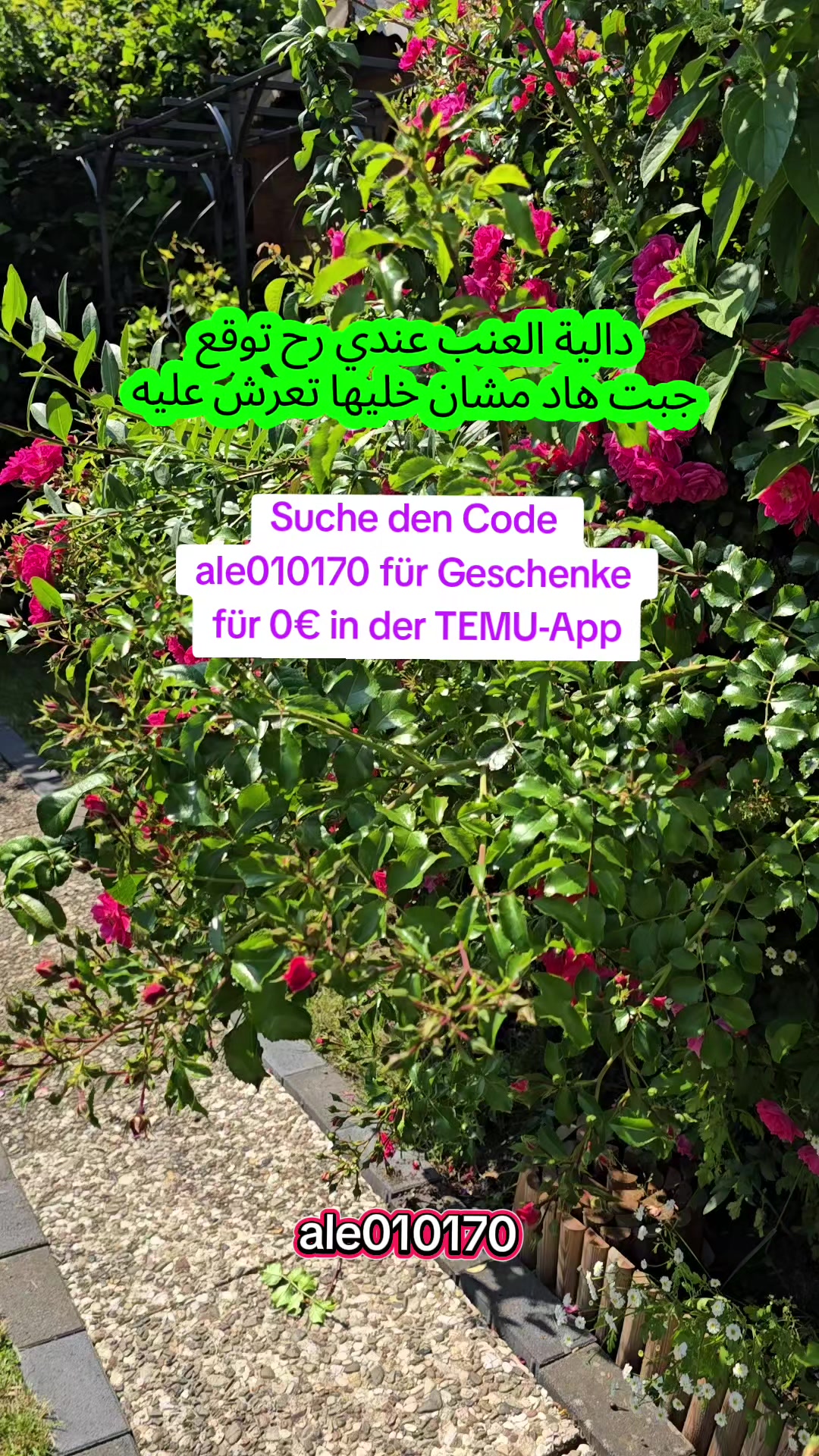 @Wajih Alkhiami وجيه الخيمي