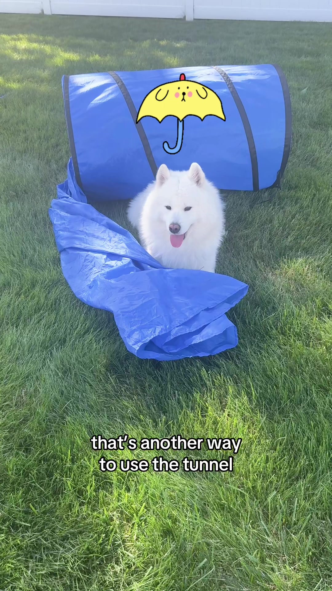 @Koda
