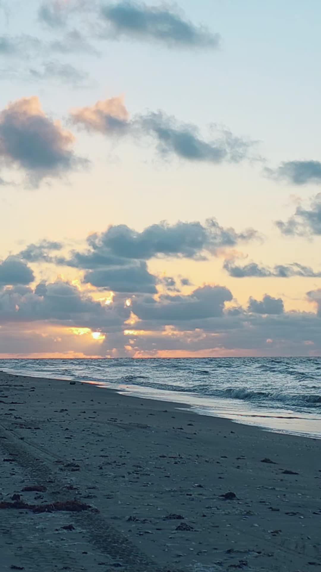 @BeachDayz40
