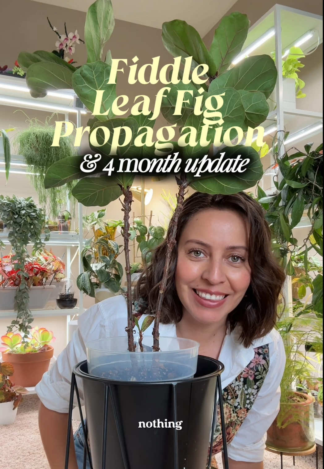 @PlantswithKrystal