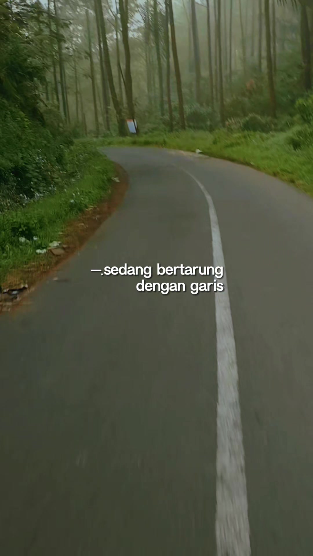 @Hilman ZeeMarmot