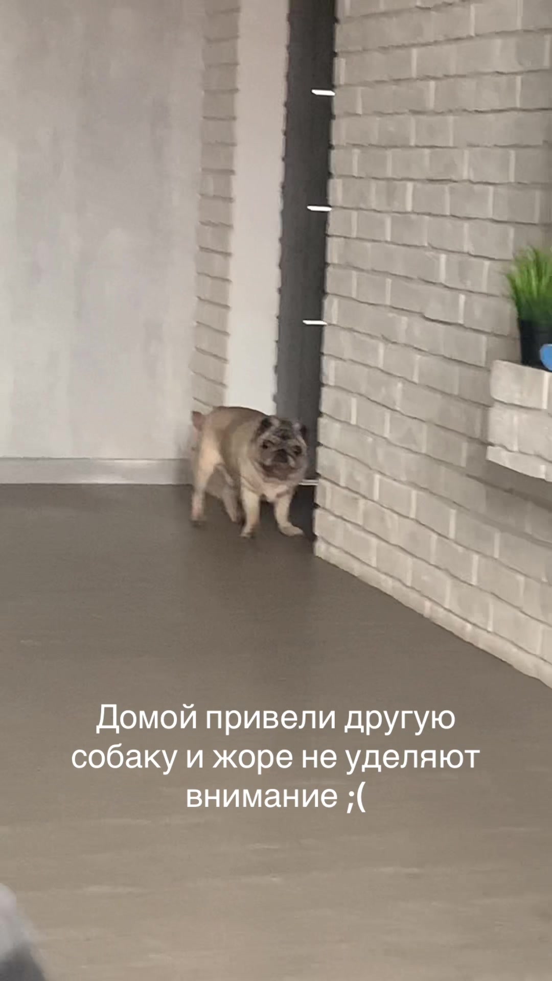 @Тру: ЖоРкА