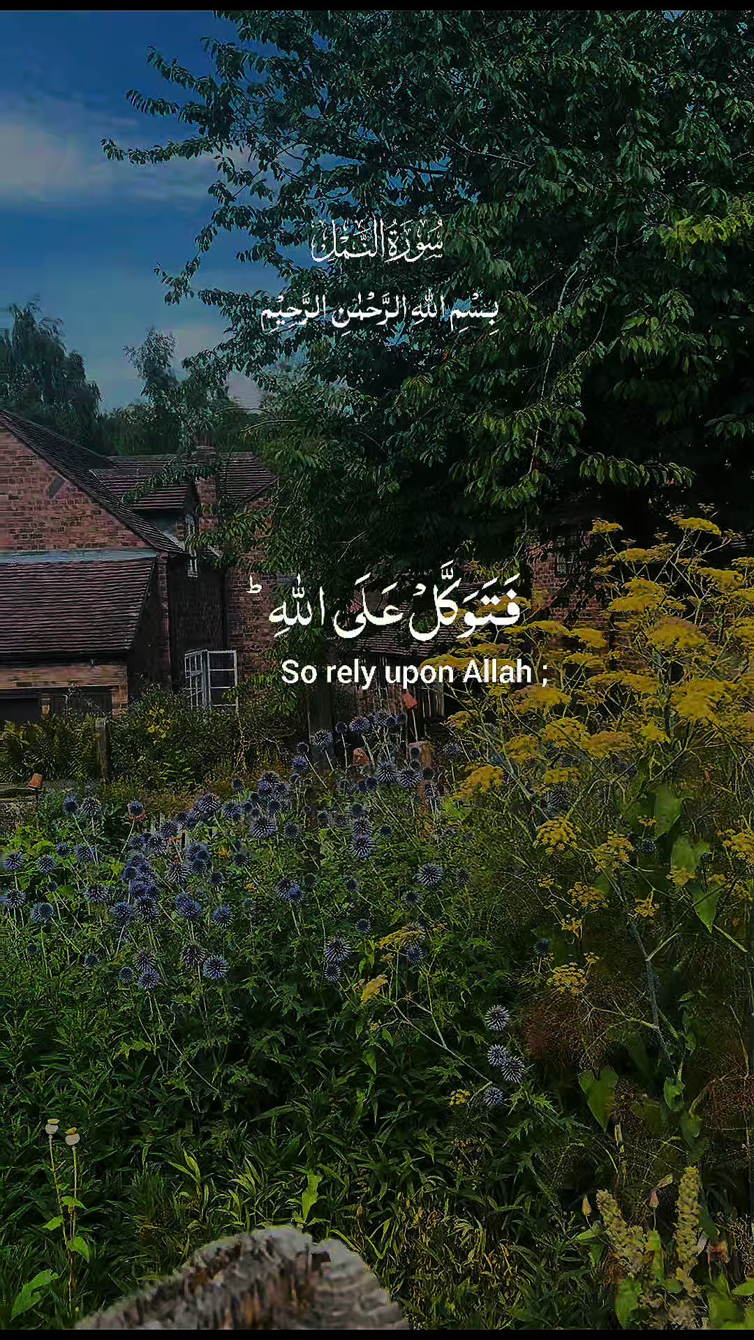 @maqrafiq