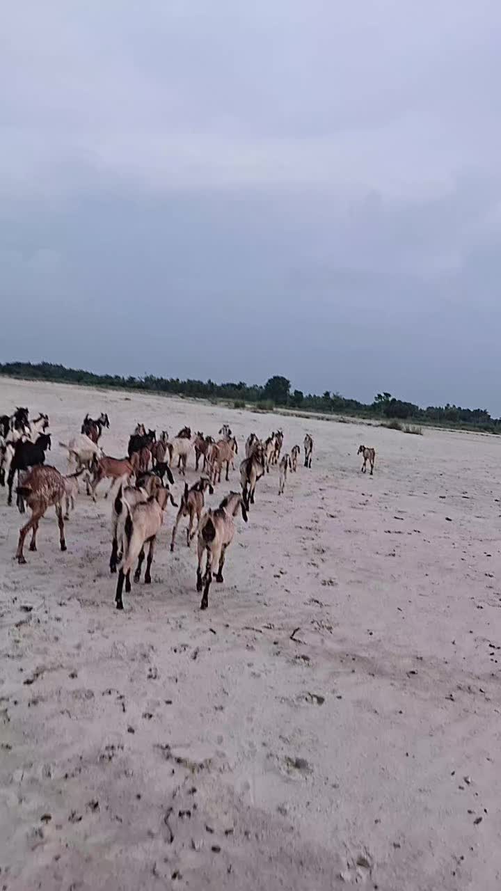 @"☆......दिब्यानी...... ☆"