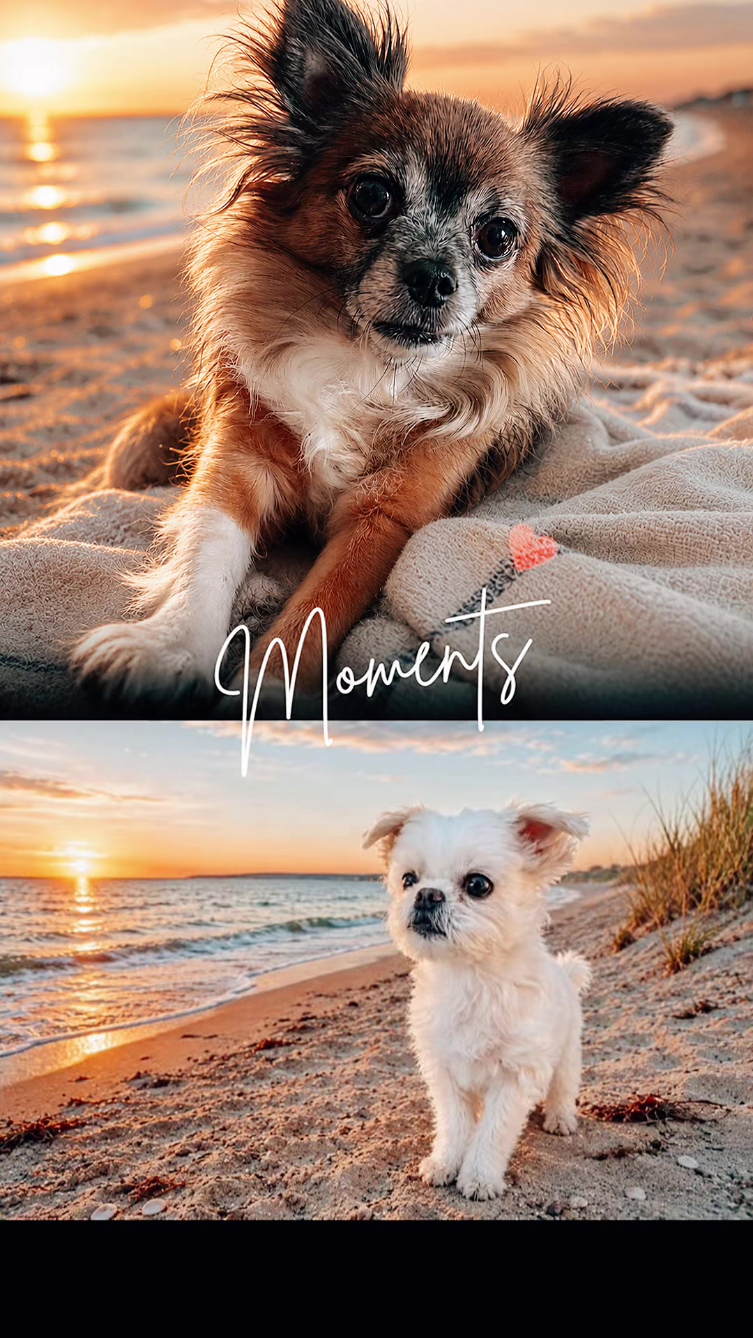 @Svenja