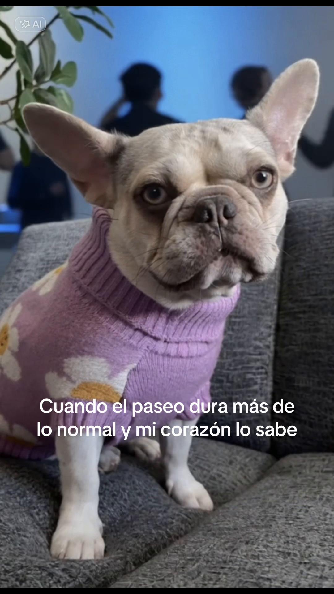 @Valeria Revelo