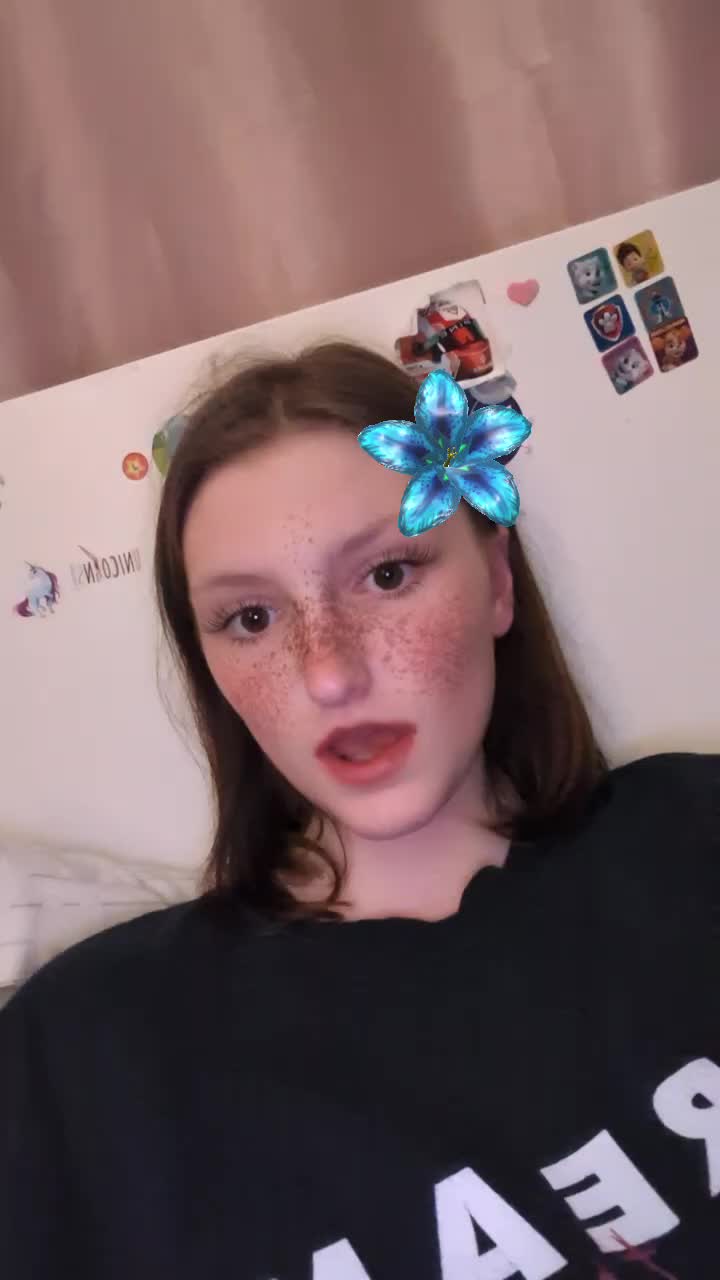@Ella loves animals 🐢🦔🐱