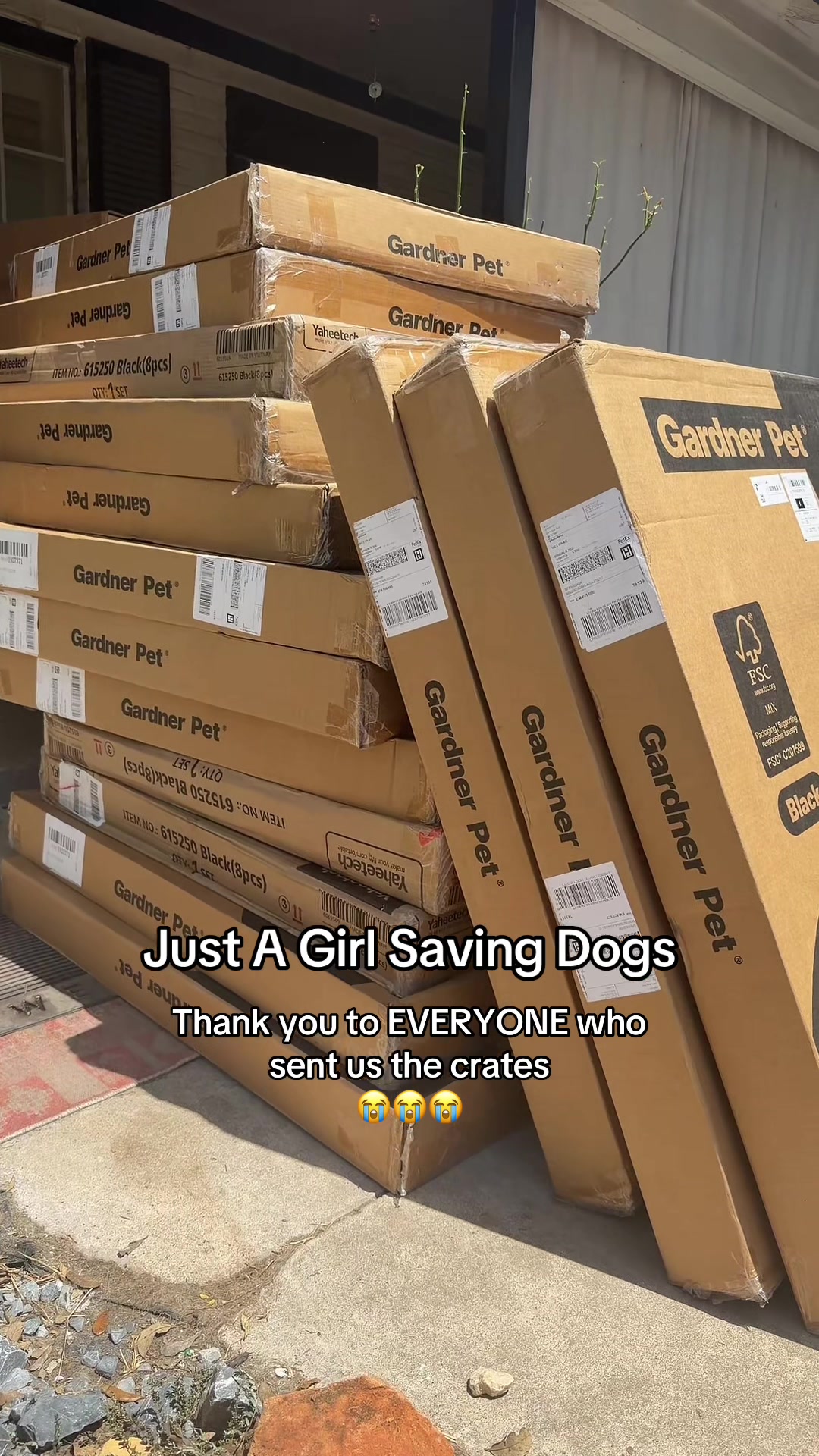@Just A Girl Saving Dogs
