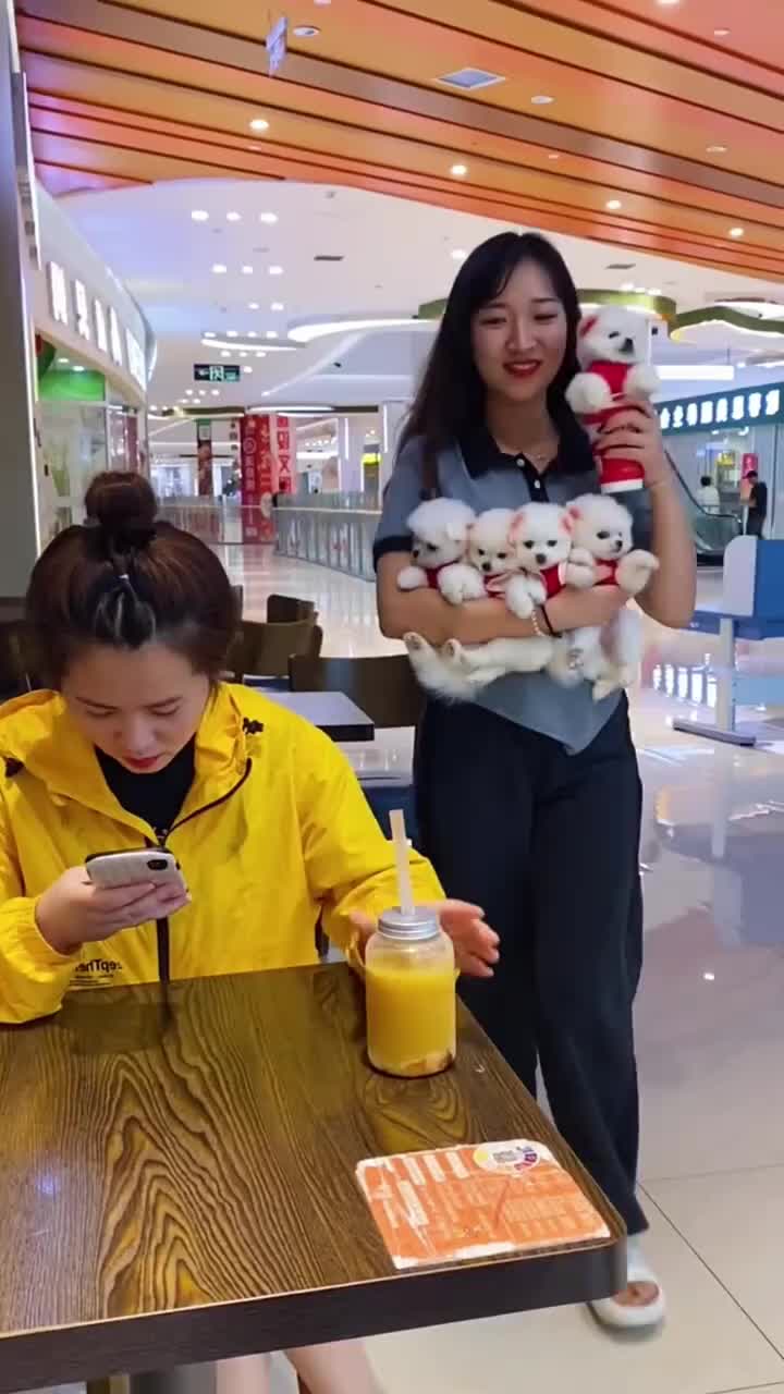 @𝙎𝙩𝙖𝙩𝙪𝙨_𝙆𝙞𝙣𝙜👑