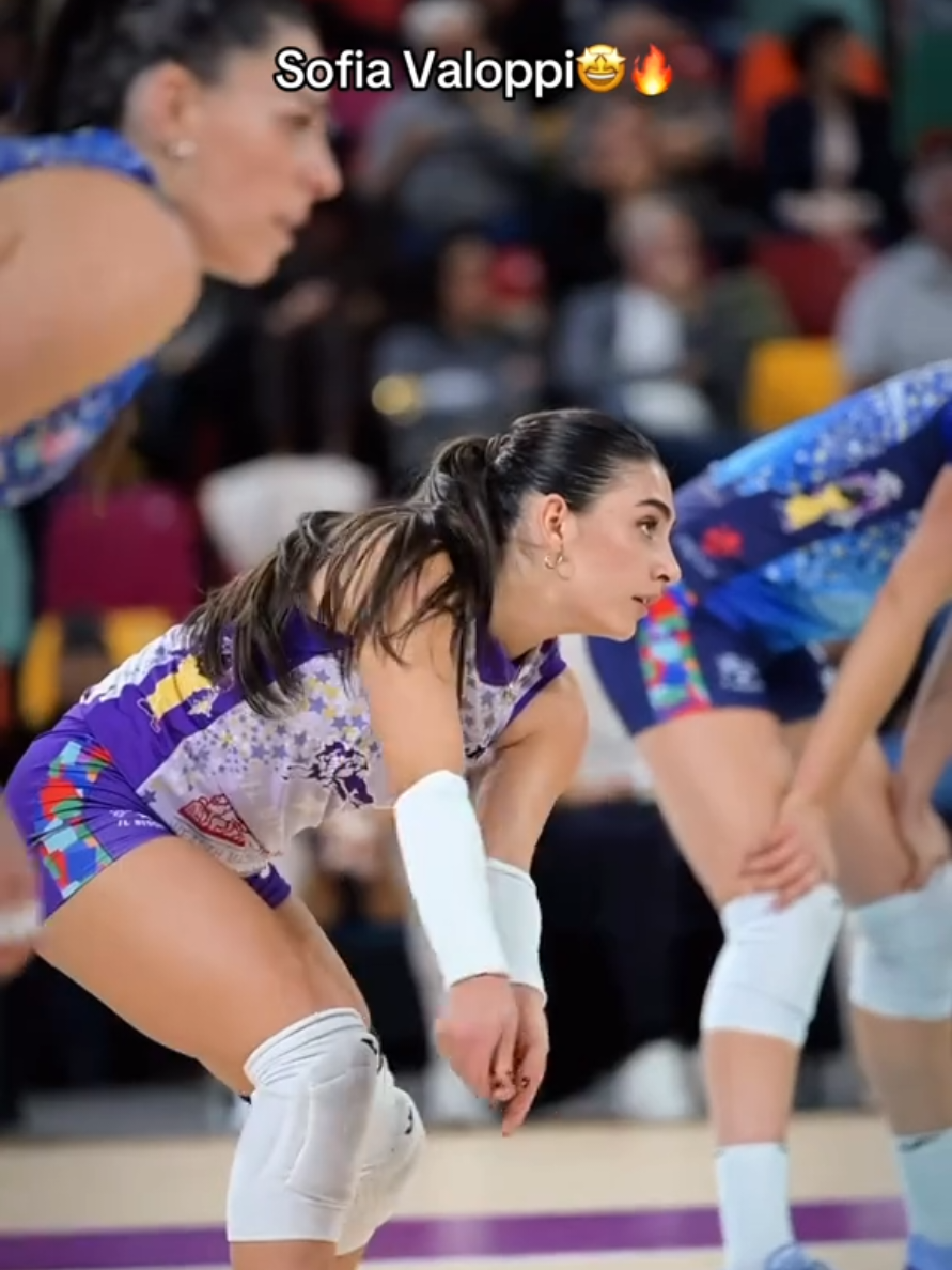 @Voleybol_Prof