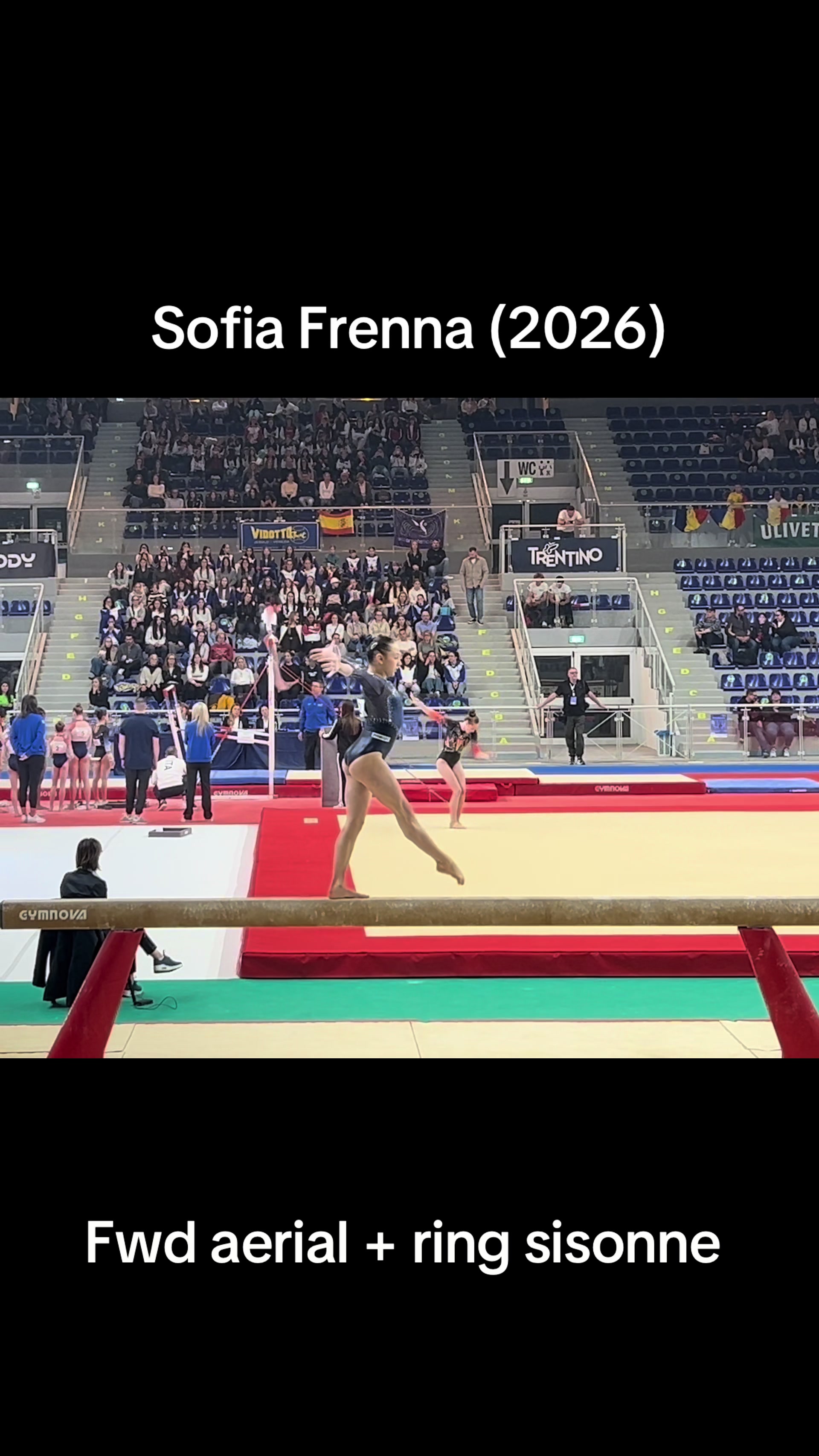 @Italian_gym_videos
