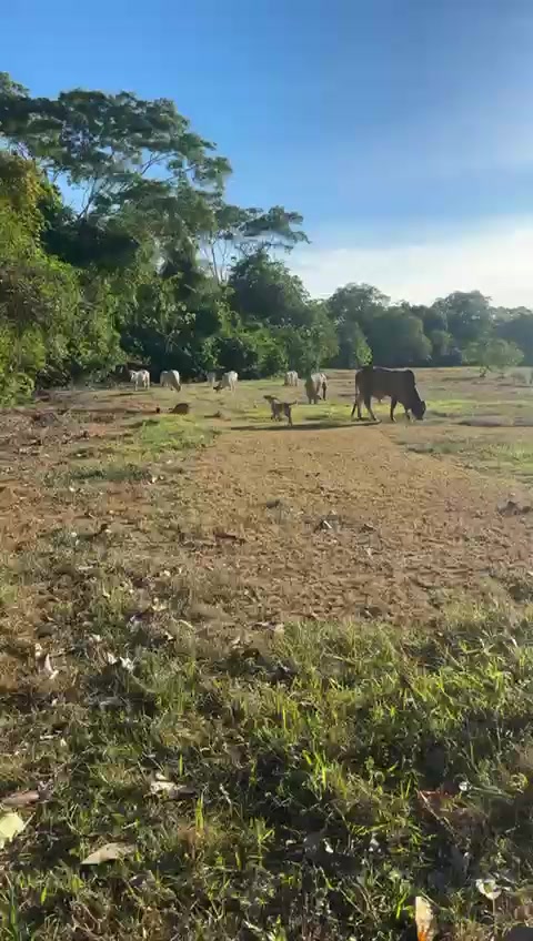 @Mary Guzman