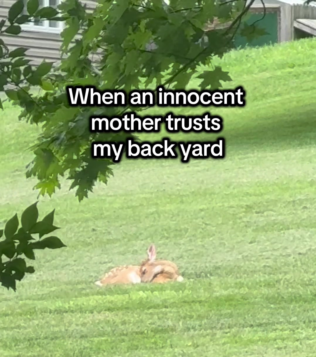 @The Appalachian kitties