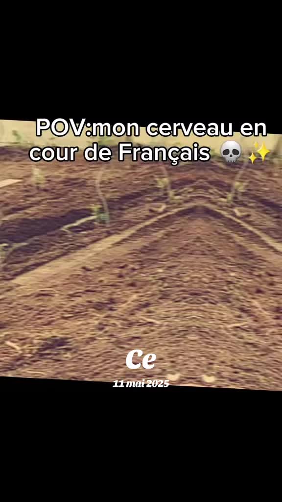 @Élisabeth le démon 😈👿