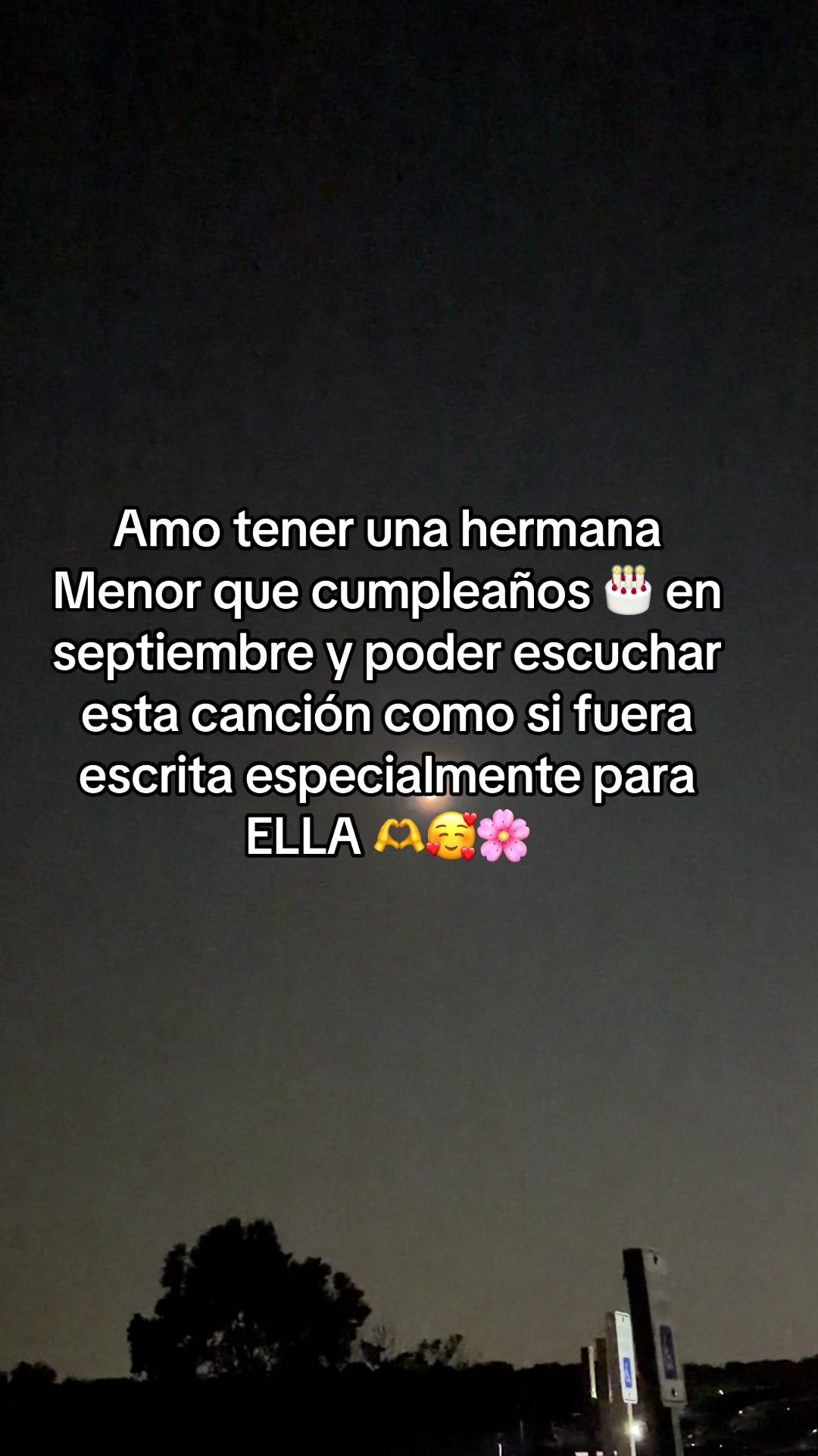 @🪐🌸La VENEZOLANA 🌸🪐