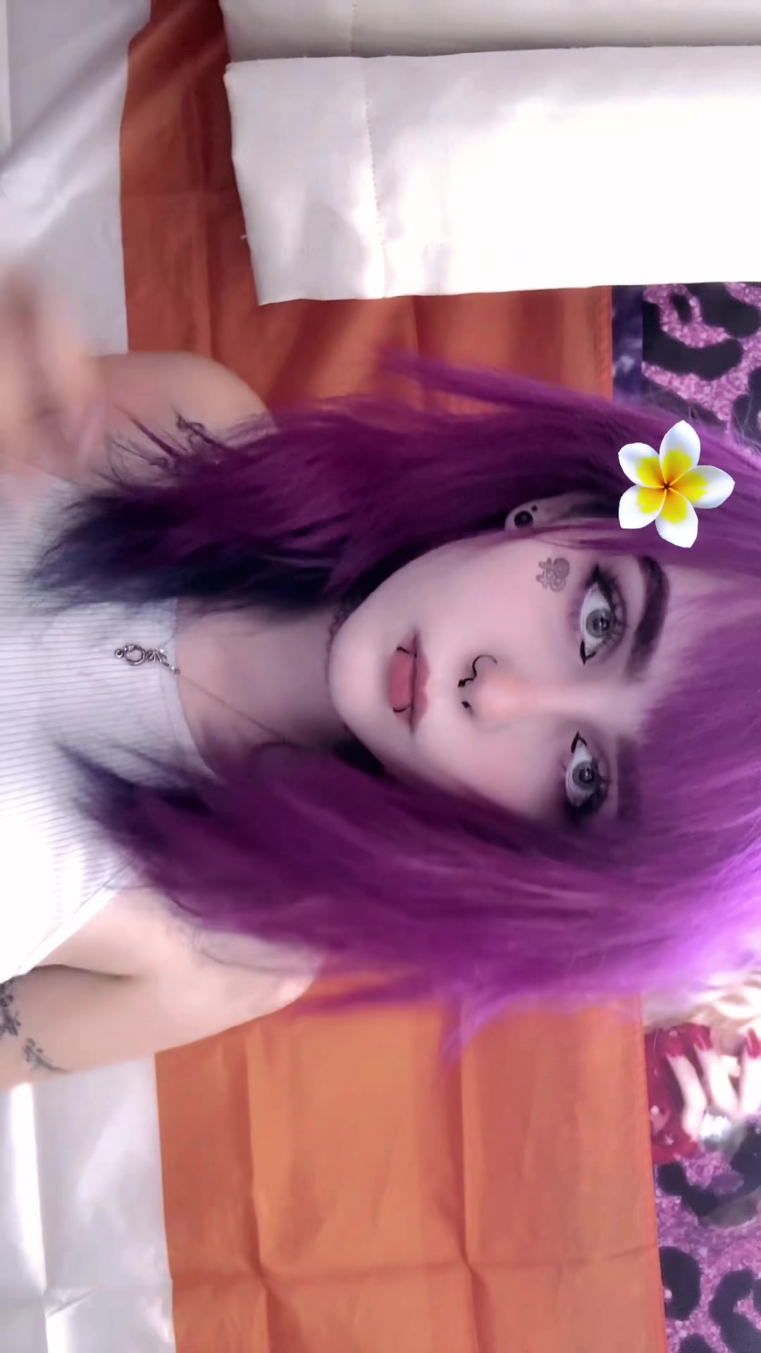 @alice