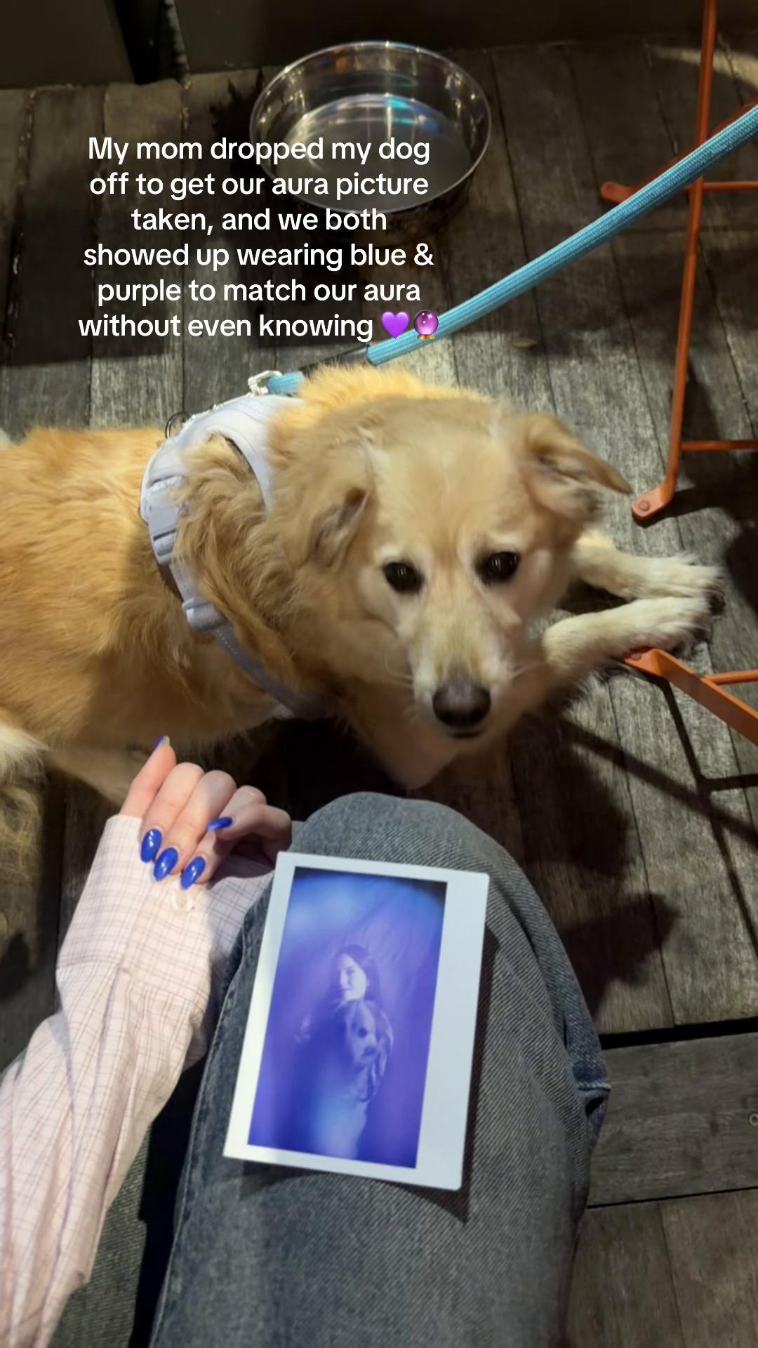 @( ˙ᴥ˙ )