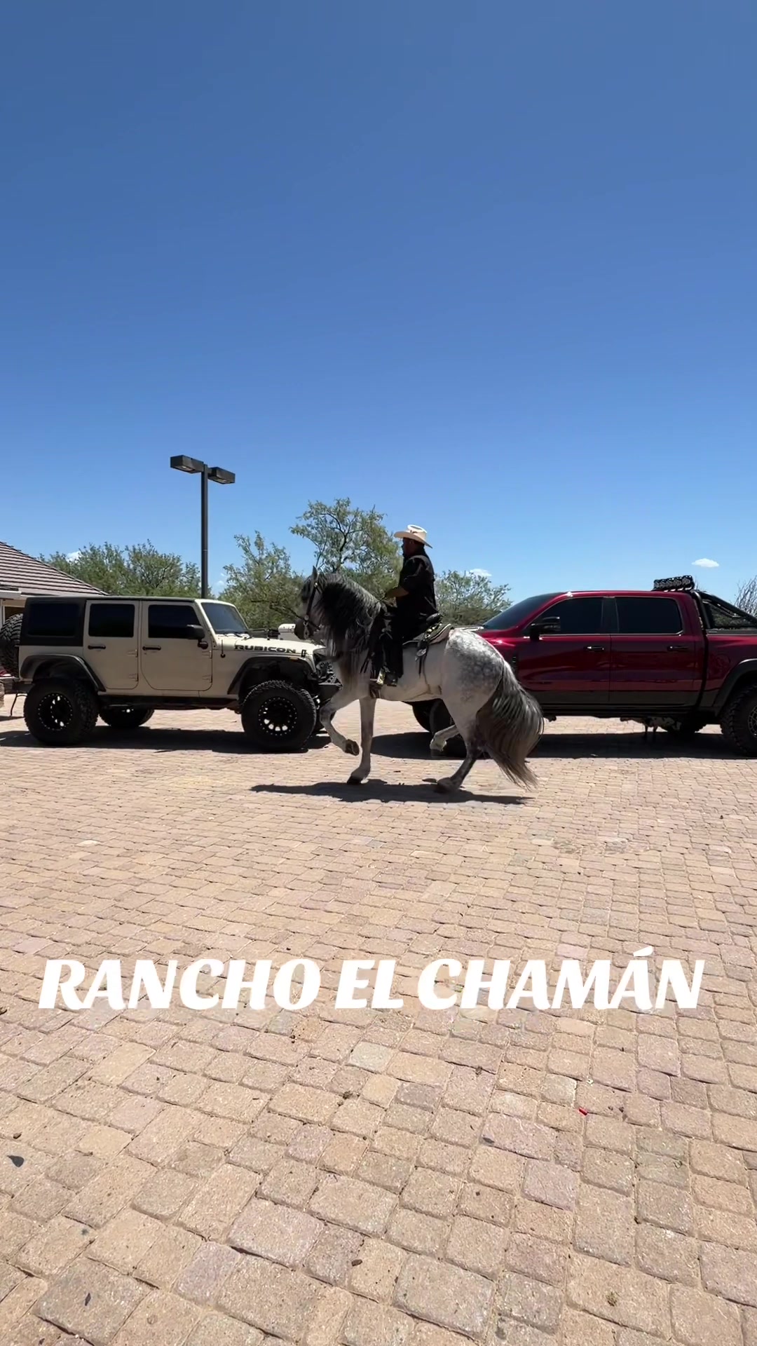 @ranchoelchaman