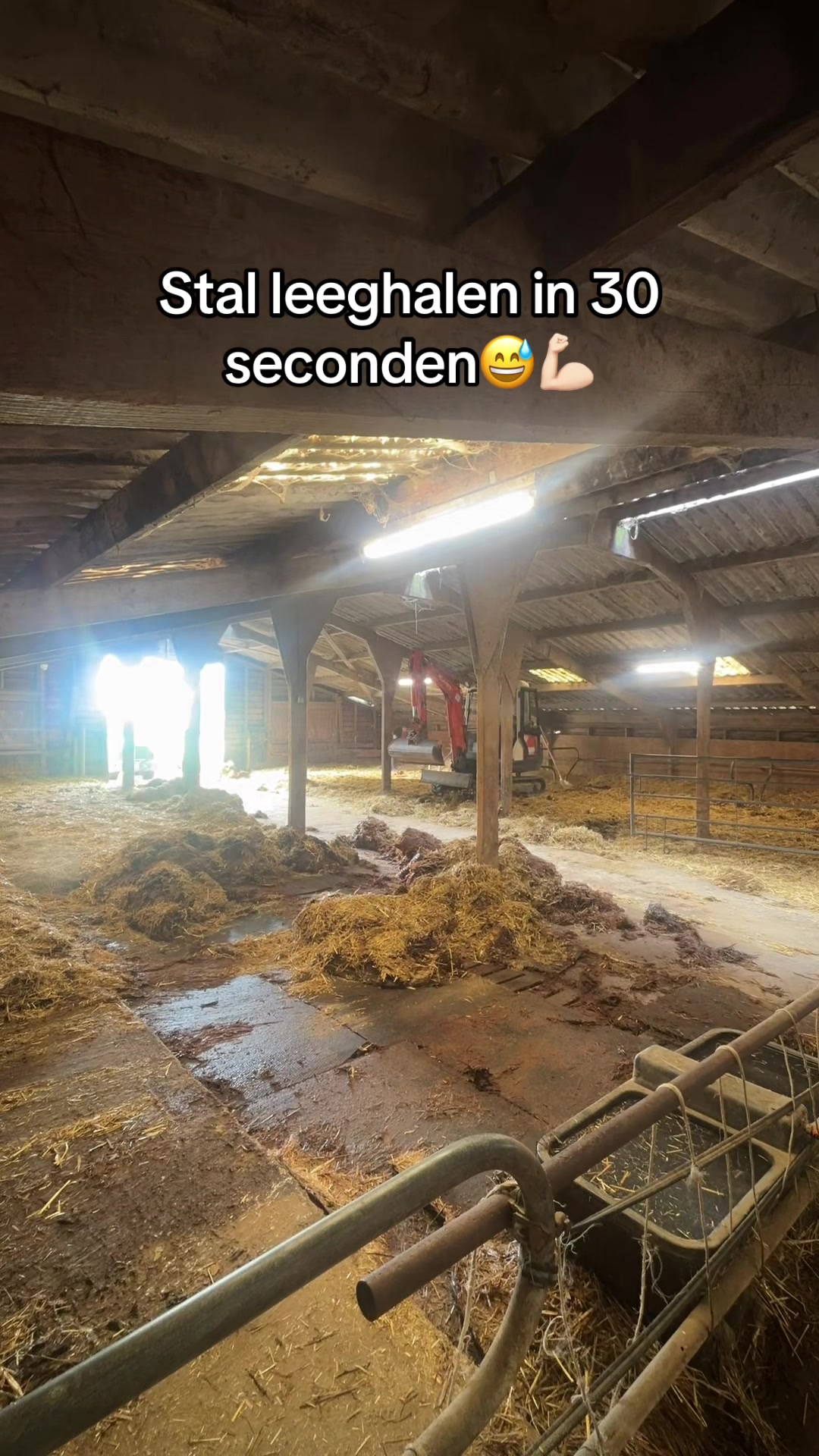 @Syrche Cordewener
