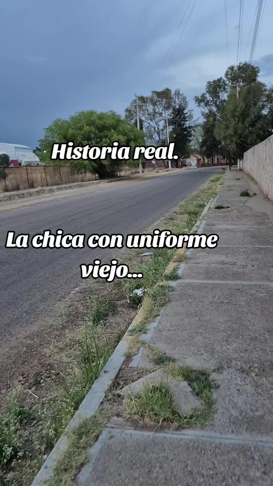 @MenexXara6848