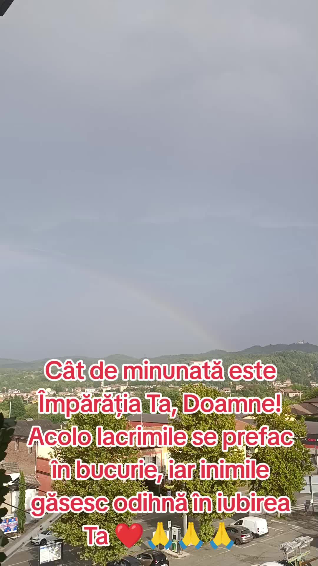 @Ala Bucur